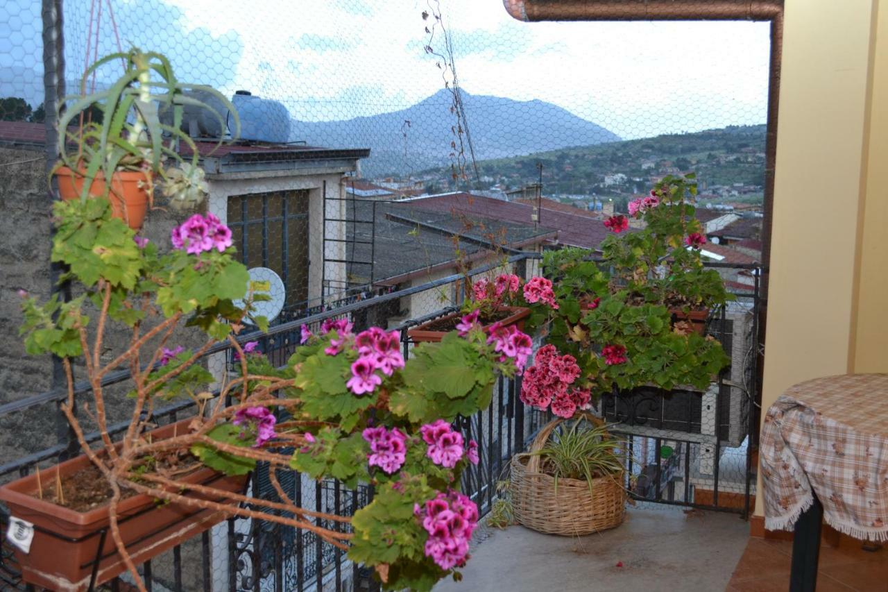 B&B Jolly House Bolognetta Ngoại thất bức ảnh