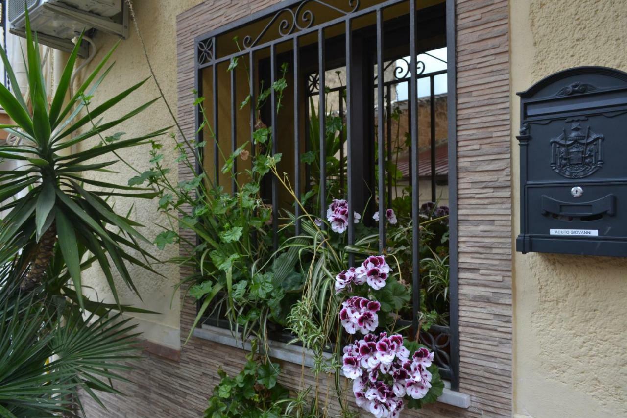 B&B Jolly House Bolognetta Ngoại thất bức ảnh
